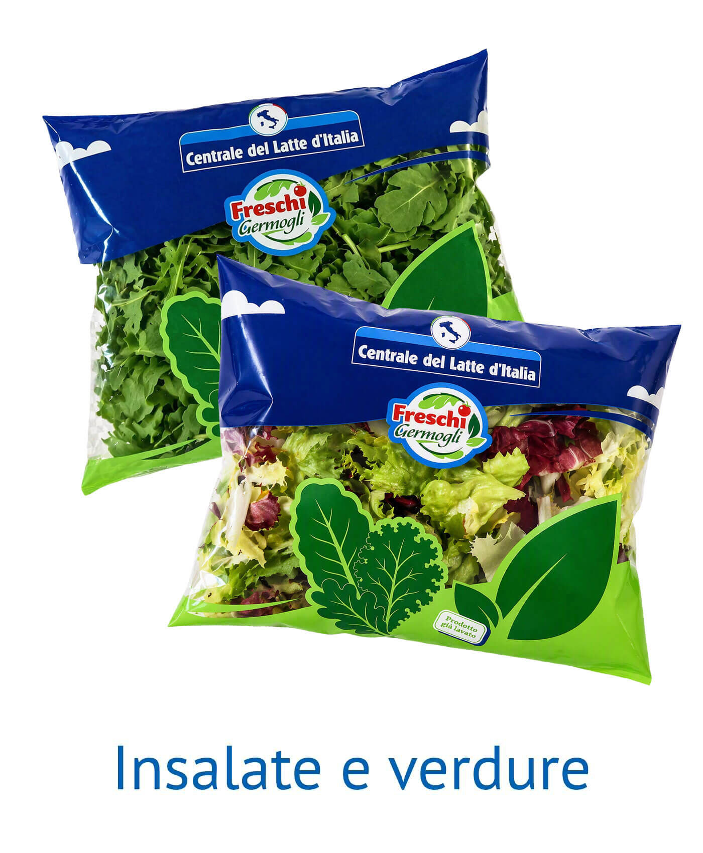 Insalate